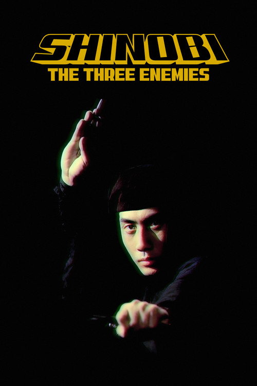 Shinobi No Mono 8 The Three Enemies poster