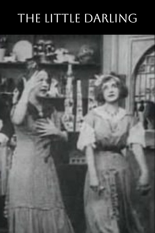 The Little Darling poster