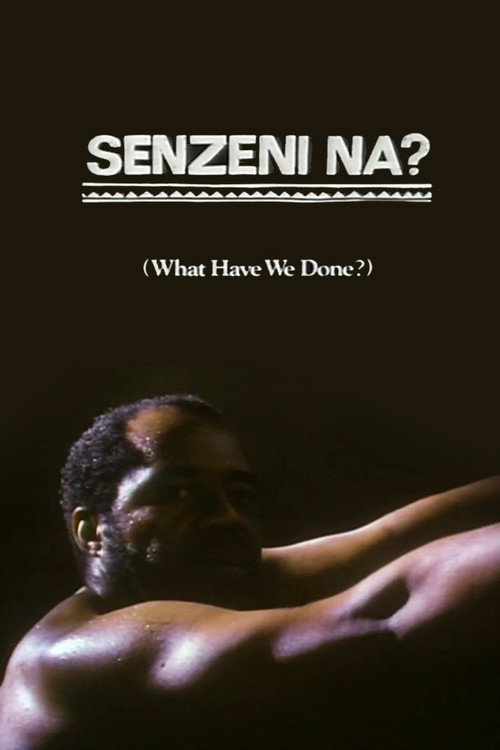 Senzeni Na? poster