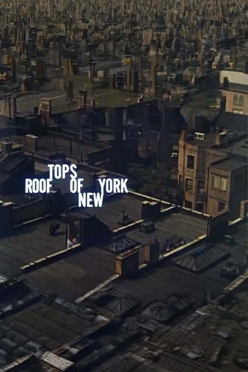 Rooftops of New York poster