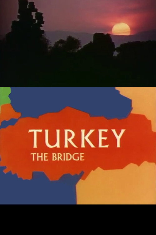 Turkey the Bridge poster