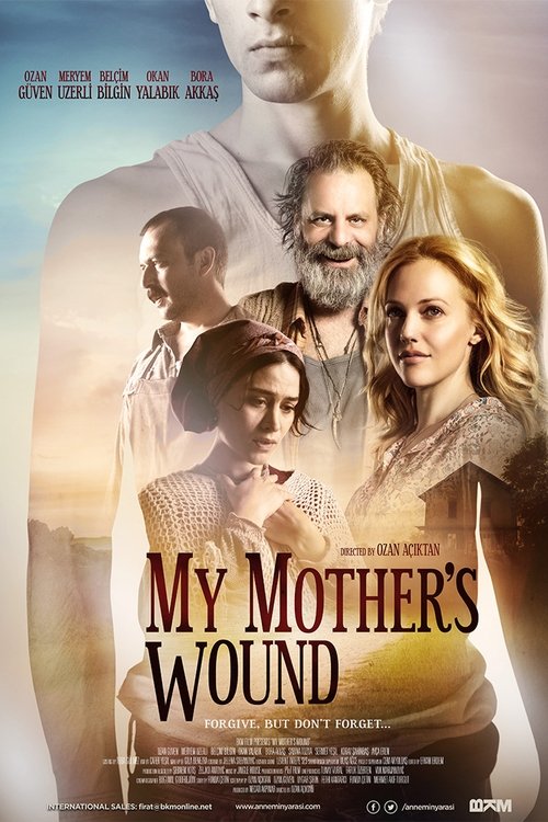 Annemin Yarası poster