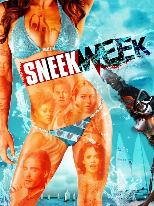 Sneekweek poster
