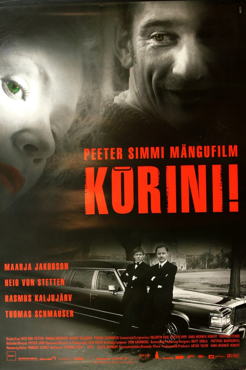 Kõrini! poster