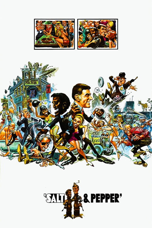 Salt and Pepper poster