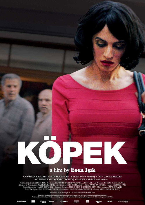Köpek poster