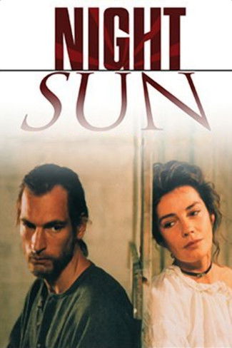 The Sun Also Shines at Night poster