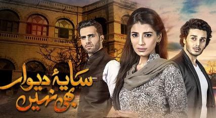Saya-e-Dewar Bhi Nahi poster