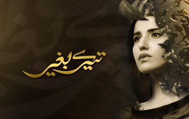 Tere Baghair poster