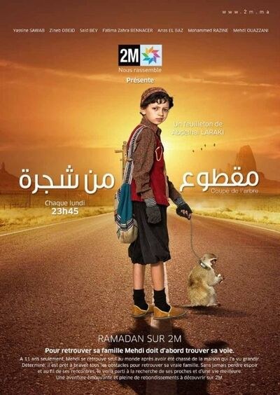 Without Family poster