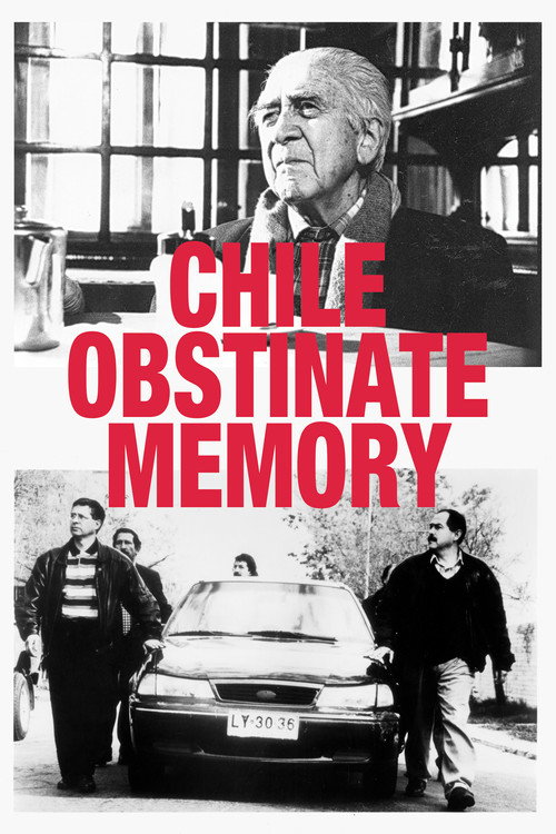 Chile, the Obstinate Memory poster