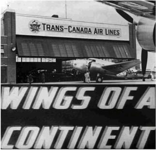 Wings of a Continent poster