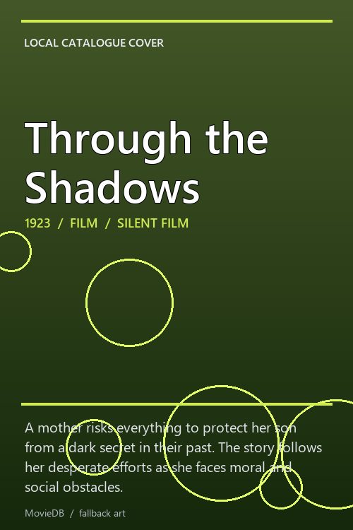 Through the Shadows poster