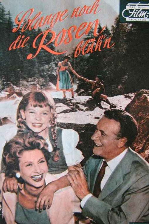 As Long as the Roses Bloom poster