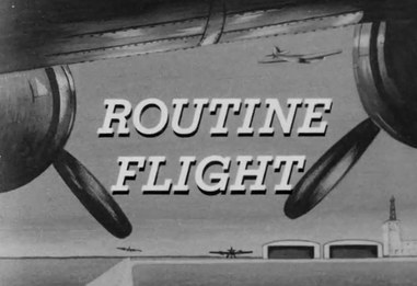 Routine Flight poster