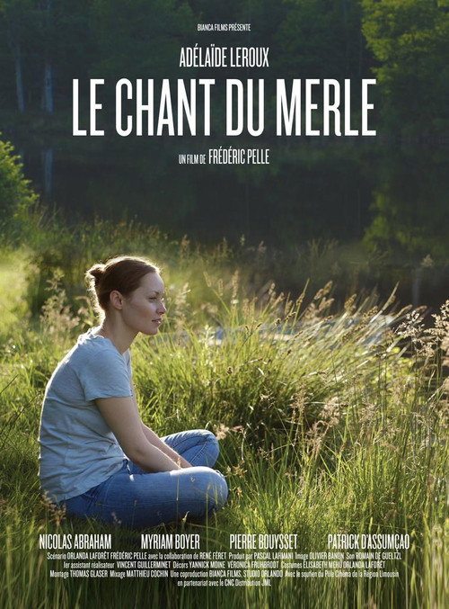Le chant du merle poster