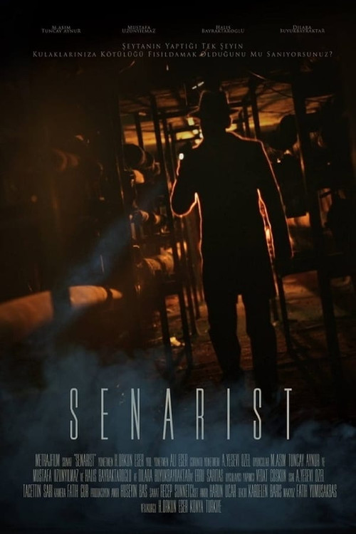 The Scriptwriter poster