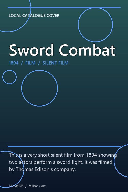 Sword Combat poster