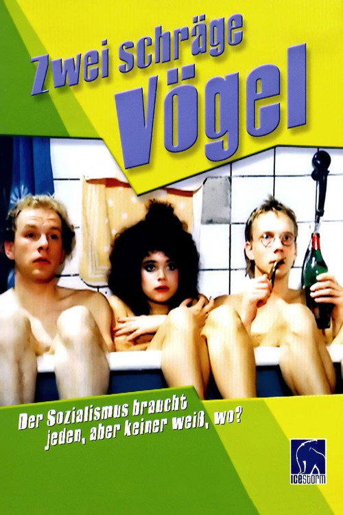 Zwei schräge Vögel poster