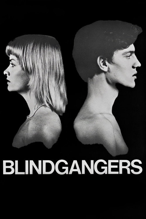 Blindgangers poster