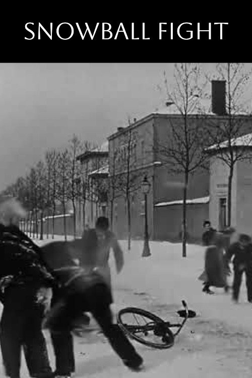 Bataille de neige poster
