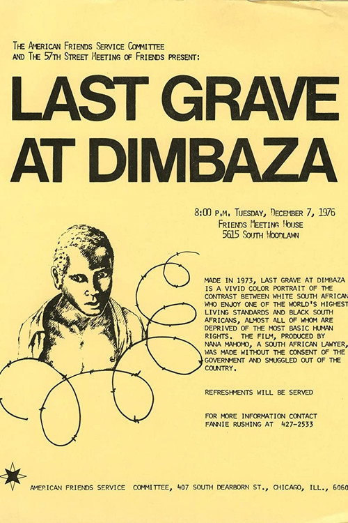 Last Grave at Dimbaza poster