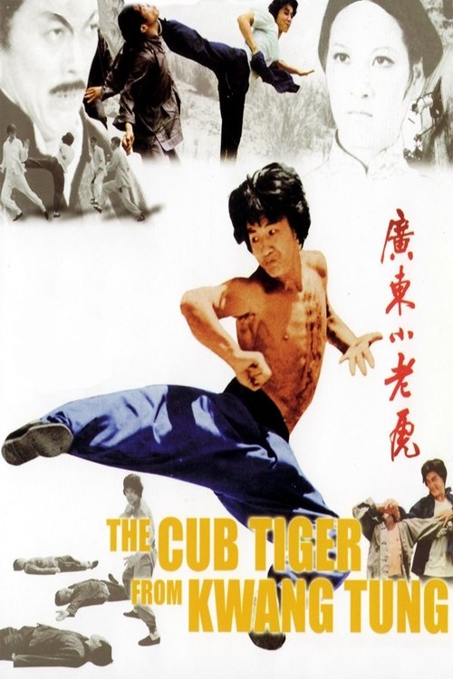 Little Tiger of Canton poster