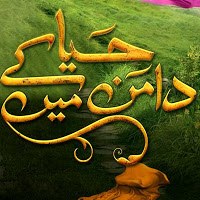 Haya Ke Daaman Main poster