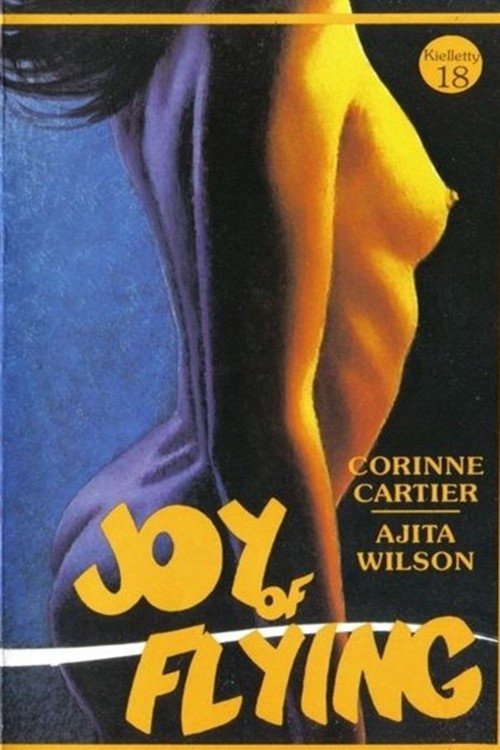 The Joy of Flying poster