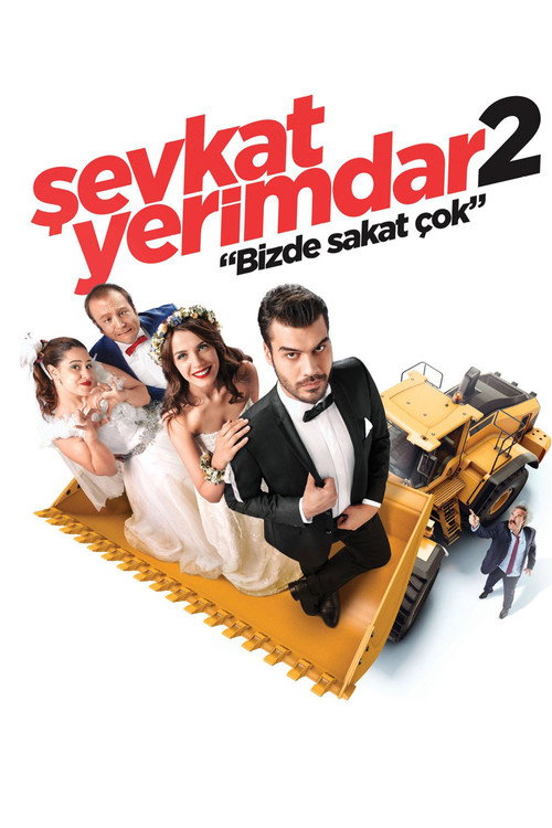 Sevkat Yerimdar 2: Bizde Sakat Çok poster
