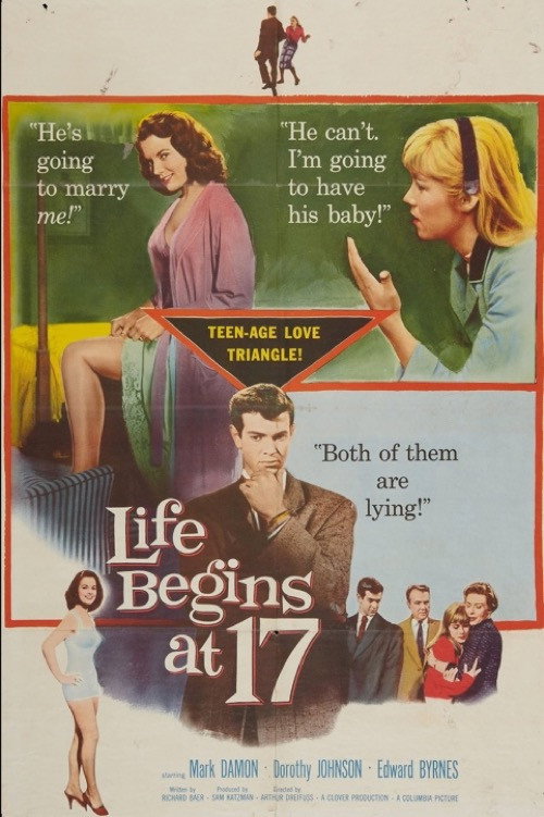 Life Begins at 17 poster