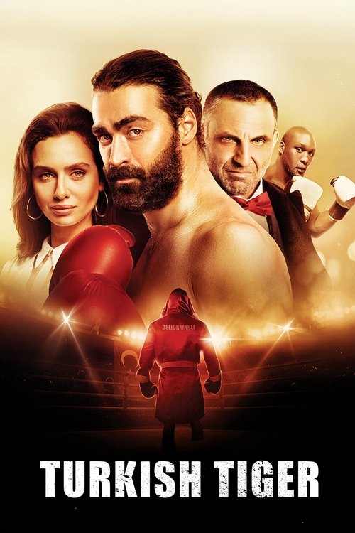 Deliormanli poster