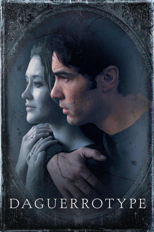 The Woman in the Silver Plate poster
