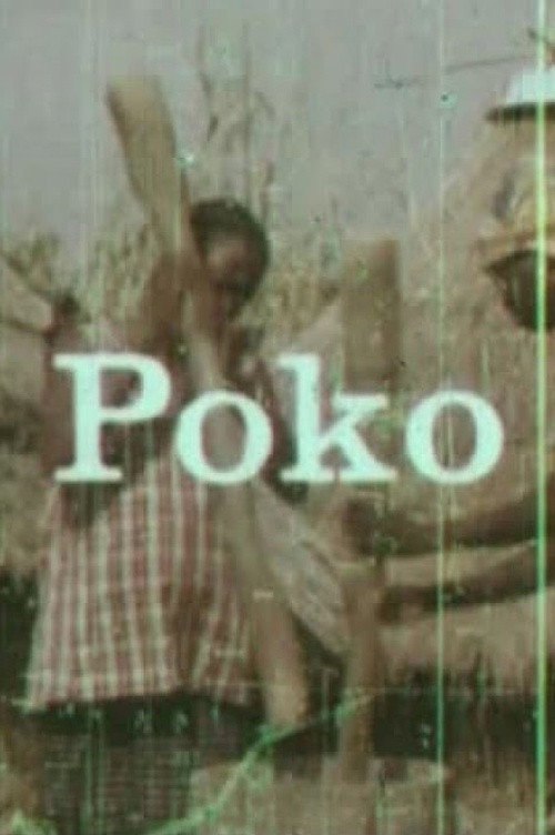 Poko poster
