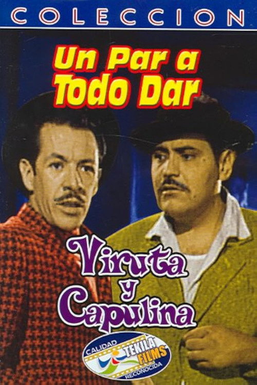 Un par... a todo dar poster