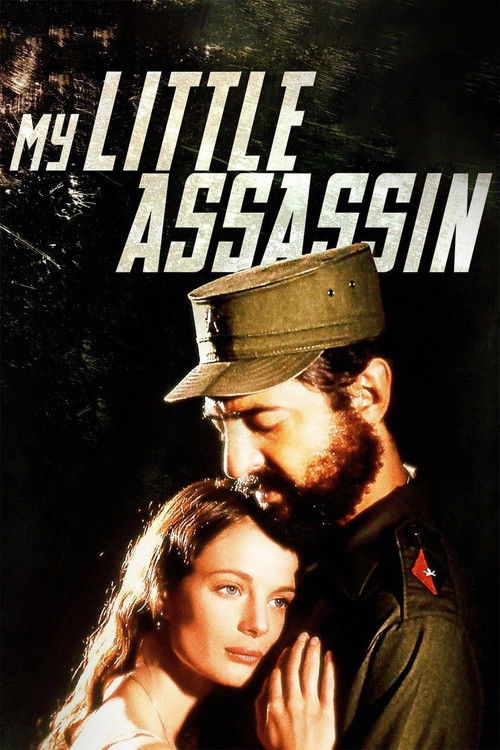 My Little Assassin poster