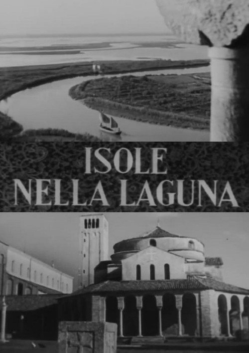 Isole della laguna poster