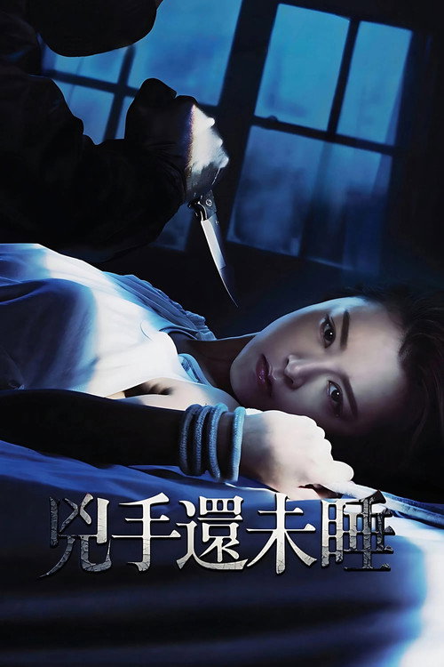 Nessun Dorma poster