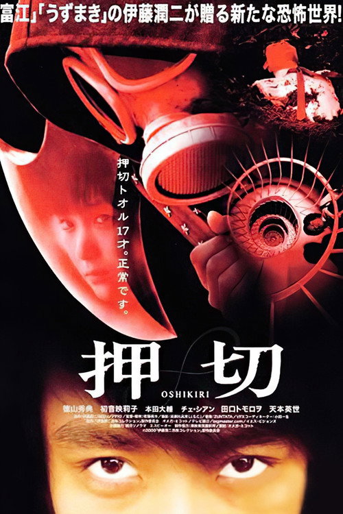 Oshikiri – The Strange Story poster