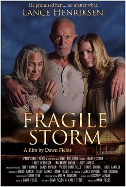 Fragile Storm poster