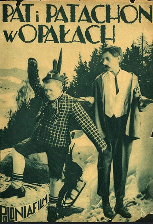 Sons in Law poster