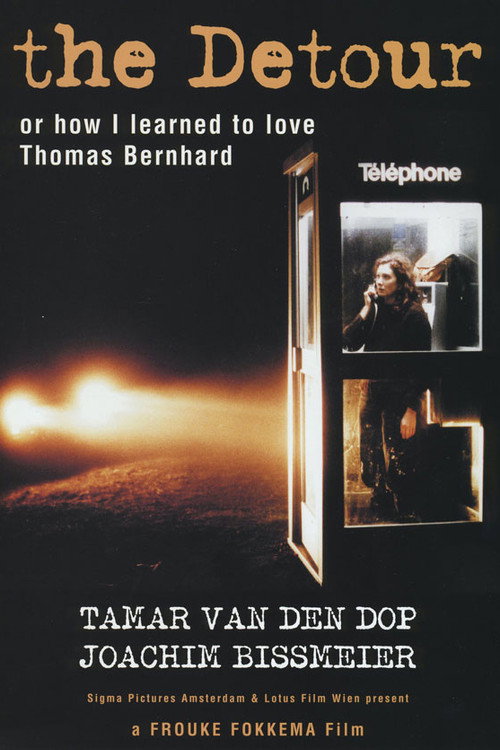 De Omweg poster