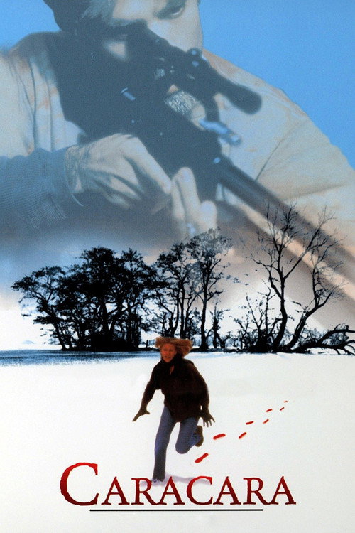 The Last Witness poster