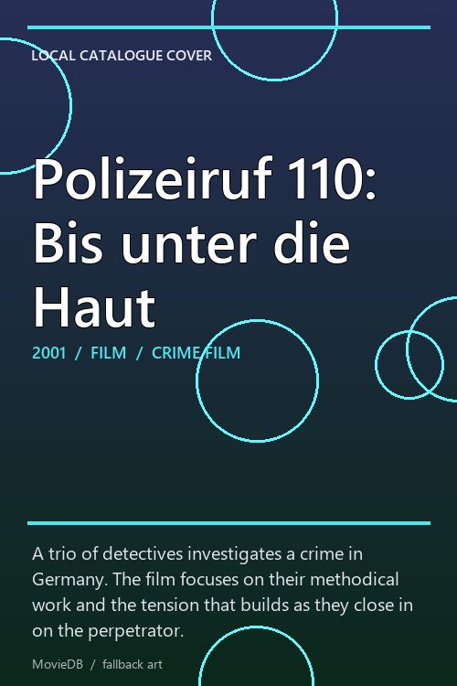 Polizeiruf 110: Bis unter die Haut poster
