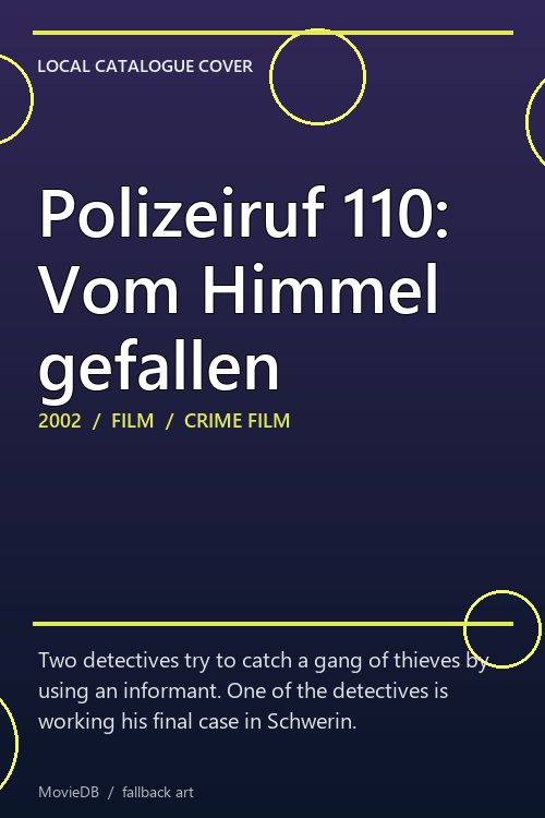 Polizeiruf 110: Vom Himmel gefallen poster