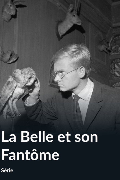 La Belle et son fantôme poster