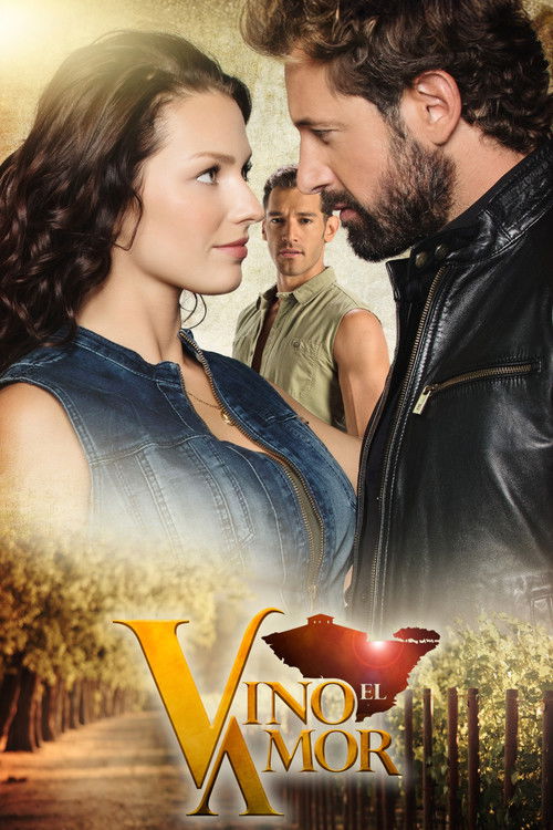 Vino el amor poster