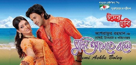 তুমি আসবে বলে poster