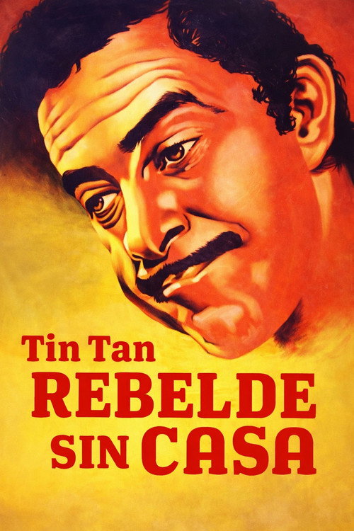 Rebel Without a House poster