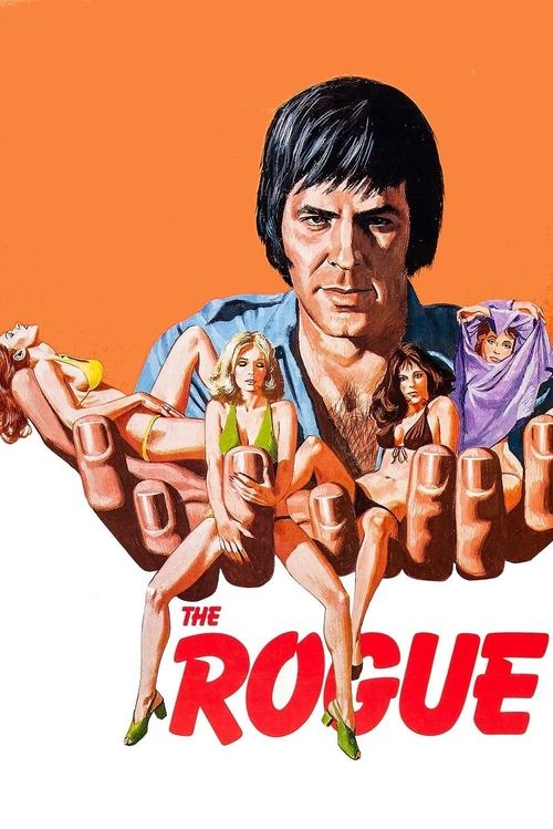 Nokaut poster